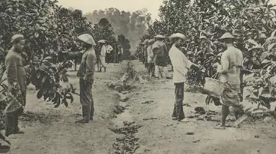 Masa Penjajahan Belanda di Indonesia