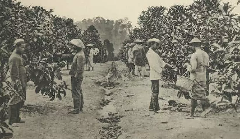 Masa Penjajahan Belanda di Indonesia