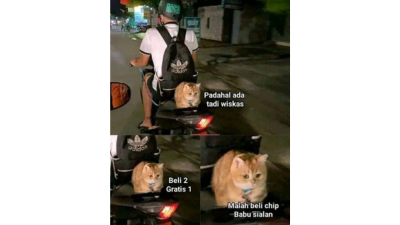 Meme Kucing